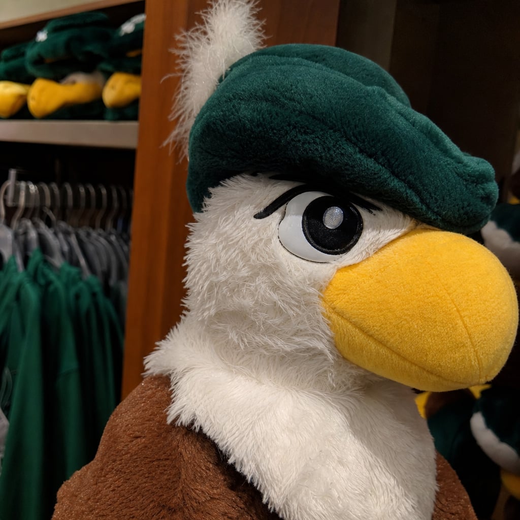 Your Favorite Team Mascot Has a Surprisingly Dark Origin