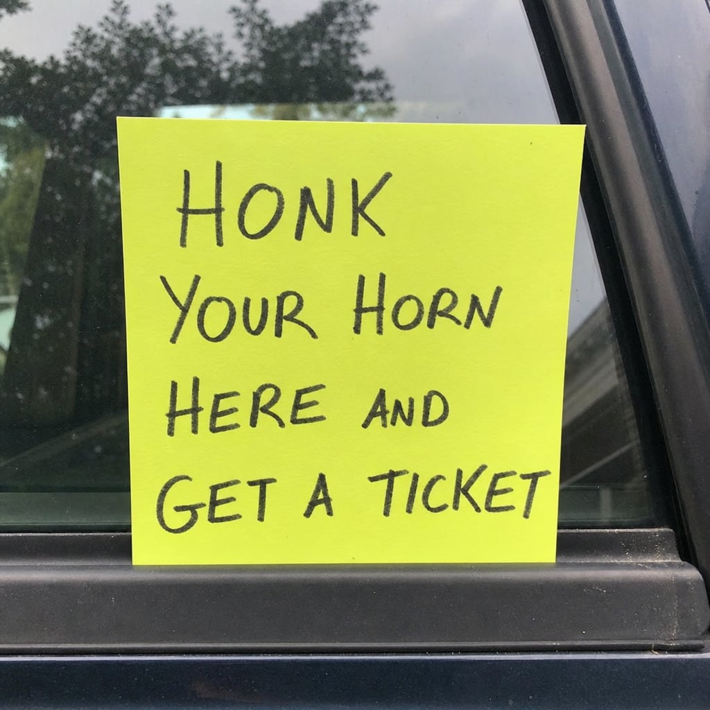 Honk Your Horn Here and Get a Ticket